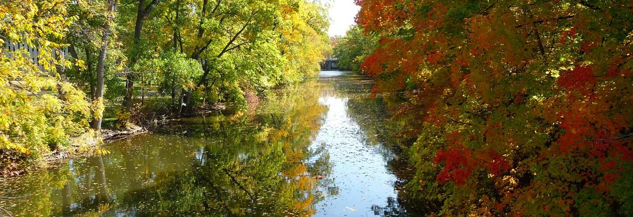 “On the banks of the Red Cedar”