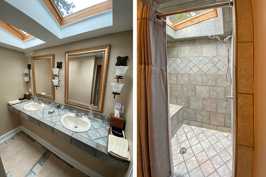 Summer Safari Room's sinks and shower