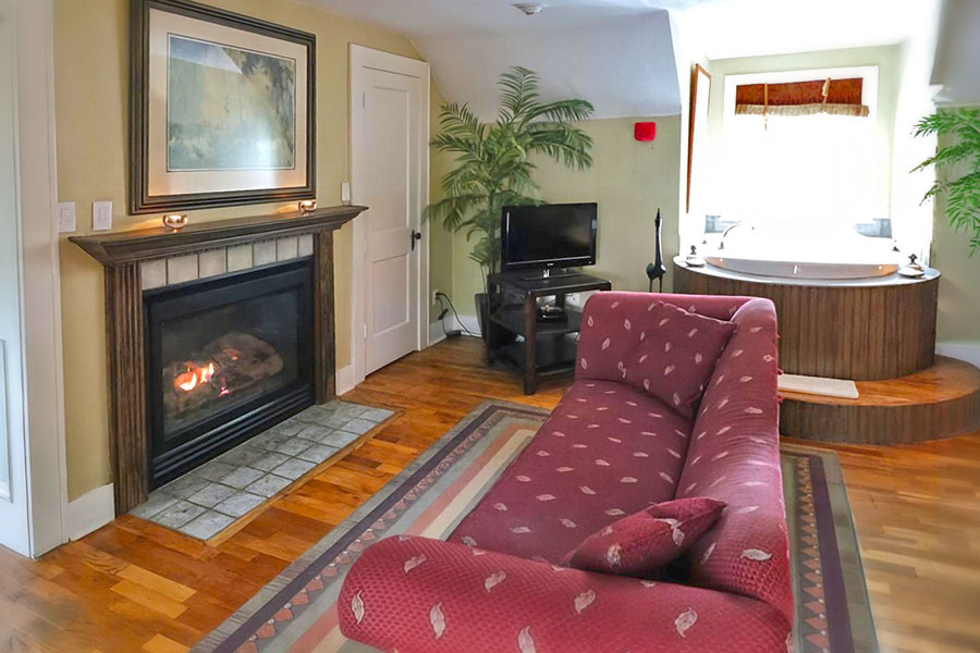 Summer Safari Room's Fireplace and tub