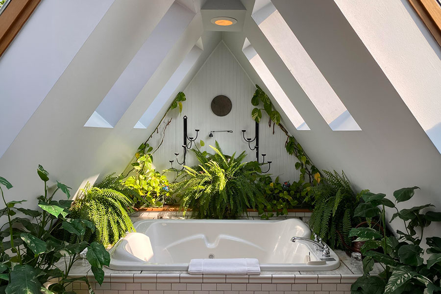 Winter Eden Room's bath